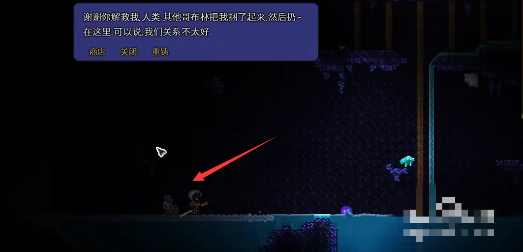 魔力宝贝私服最强宠物合成指南提升战斗力的关键
